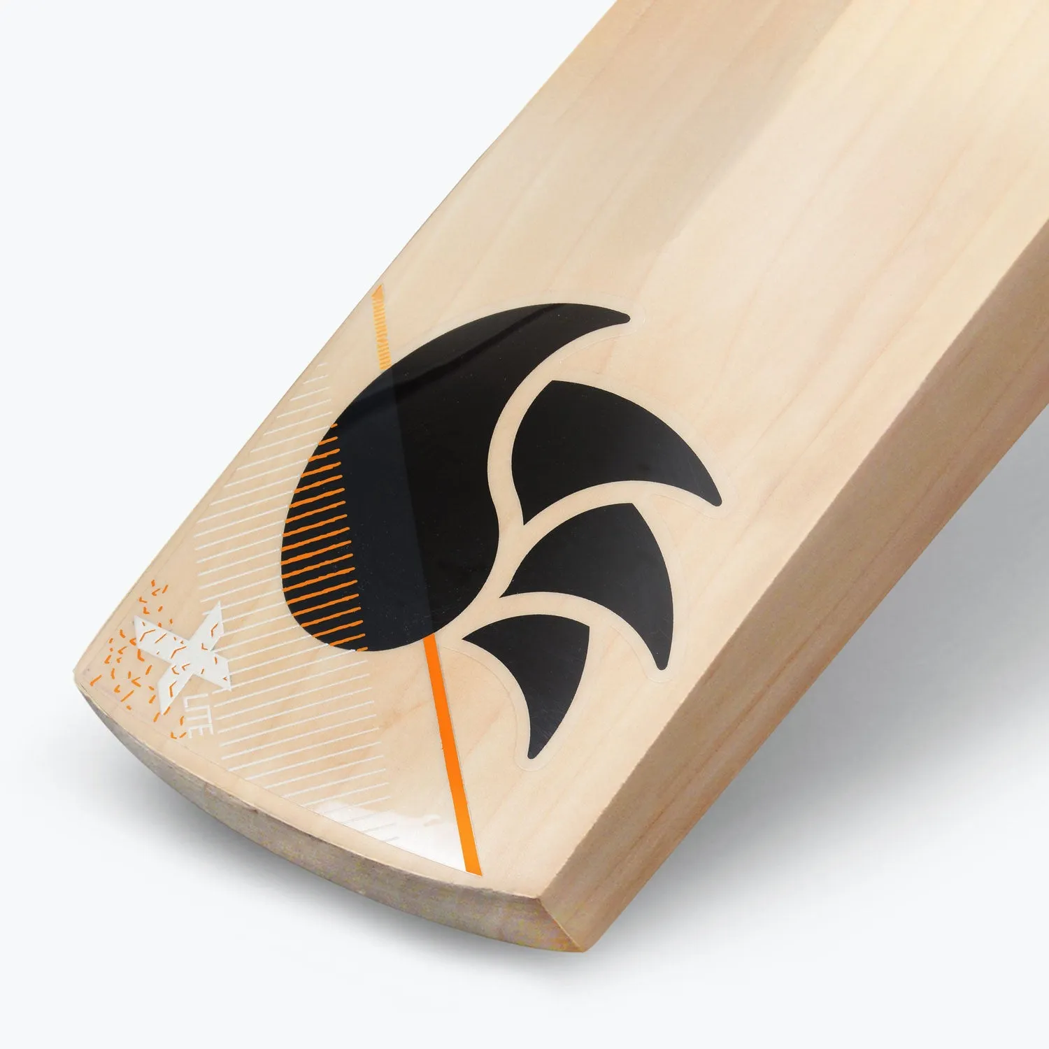 DSC XLITE 25 Senior Cricket Bat